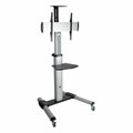 Doomsday Mobile Flat-Panel Floor Stand for TV and Monitors - 32 to 70 in. DO3543791
